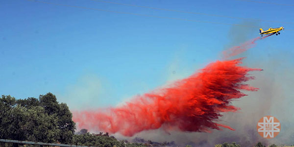 Bodrum-Milas karayolu orman yangını- 48 Haber Ajansı 3
