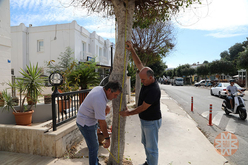 Bodrum haberleri; Bodrum haber 1