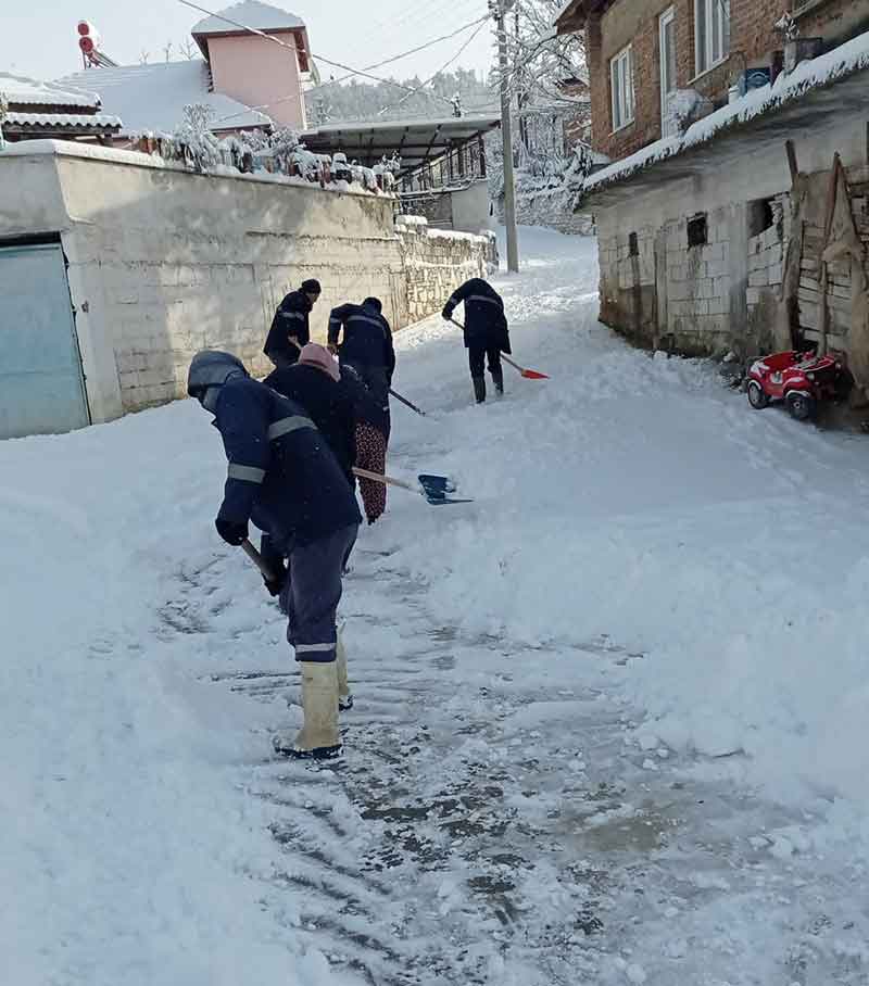 Kar yağışı